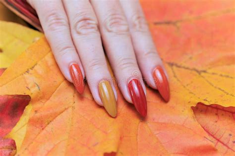 Female Hand with Long Nails and a Yellow Orange Nail Polish Stock Image - Image of beauty, fall ...
