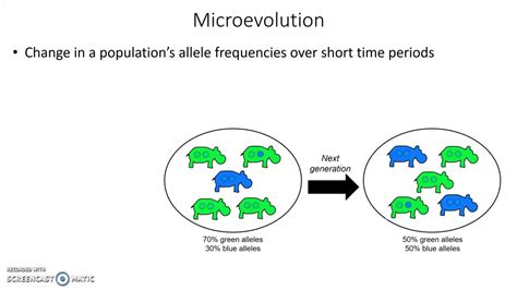 Mechanisms of microevolution - YouTube