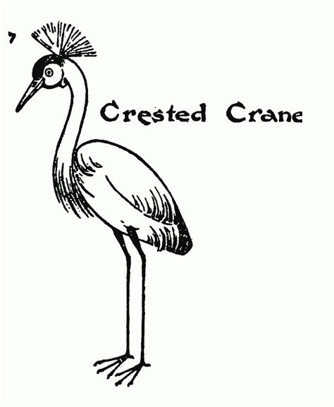 Drawing for kids step by step - Crested Crane | Smart Kids 123