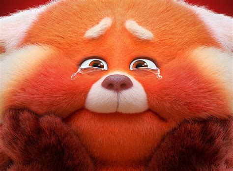 1290x2796px, 2K free download | Turning Red Panda Crying Ultra ...