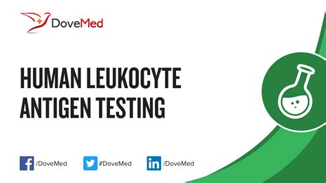 Human Leukocyte Antigen (HLA) Testing