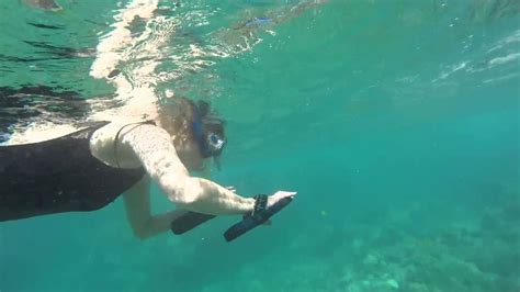 Snorkeling at 2 Step, Honauna Bay, City of Refuge, Big Island, Hawaii - YouTube