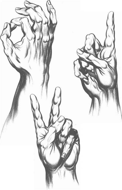 Communication And Gesture - Drawing Hands - Joshua Nava Arts