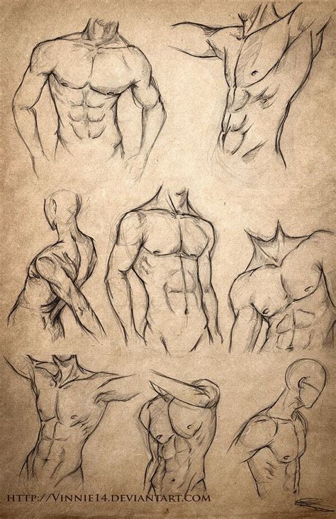 20 Human Anatomy Drawing Ideas and Pose References - Beautiful Dawn Designs | Sketches, Human ...