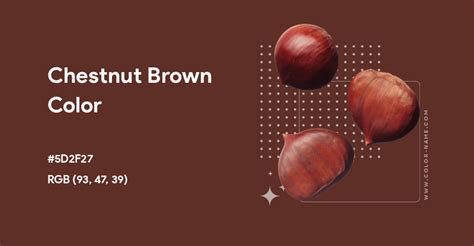 Chestnut Brown color hex code is #5D2F27