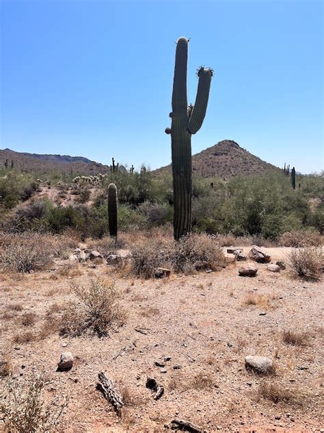 Pass Mountain Trail (West) Multi Trail - Apache Junction