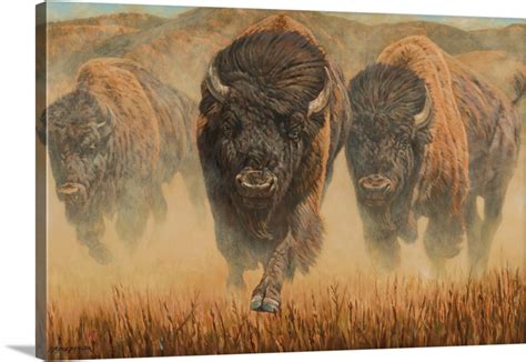 Charging Bison Wall Art, Canvas Prints, Framed Prints, Wall Peels ...