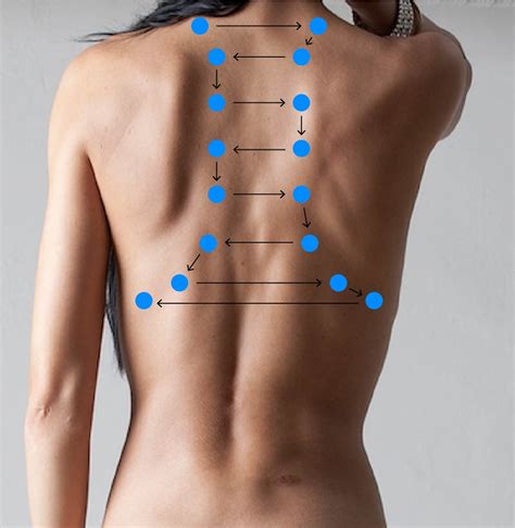 Posterior and Lateral Thorax – Auscultation – Introduction to Health Assessment for the Nursing ...