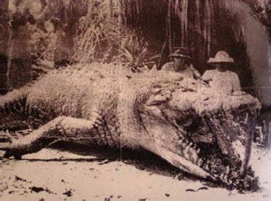 Giant Crocodile Gustave Captured