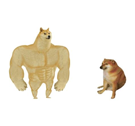 20+ Doge Meme Templates That Help You To Make Hilarious Memes | Memes.co.in