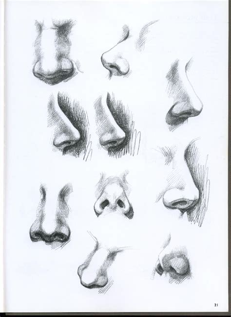 Giovanni civardi drawing portraits faces and figures | Realistic drawings, Nose drawing, Drawings