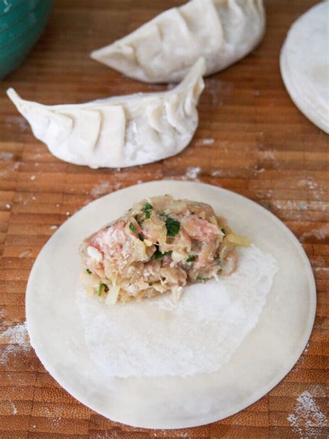 Chinese pork and cabbage dumplings - Caroline's Cooking