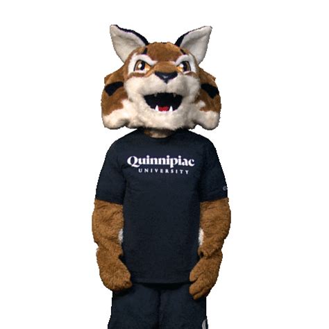 College Mascot Sticker by Quinnipiac University for iOS & Android | GIPHY