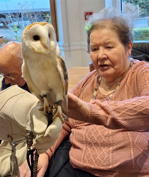 Mobile Zoo Brings Python, Tarantula And Owl To Solihull Care Home