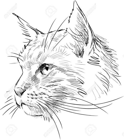 Vector sketch of a cat head. , #Sponsored, #sketch, #Vector, #head, # ...