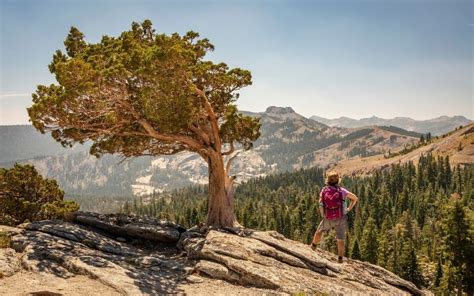 Donner Summit - Things to Do, History, & Adventure