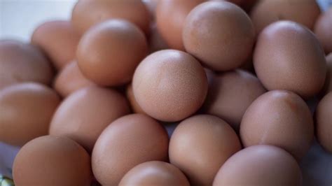 Chittagong Bv 380 Organic Brown Egg, For Household, Packaging Type: Box ...