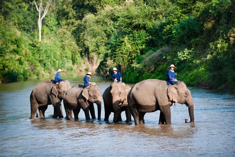 Join Tour | Lampang & Lamphun 1 Day (with lunch)