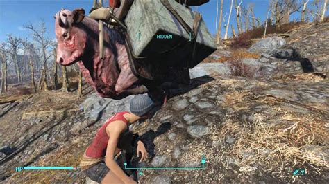 Fallout 4: Funny bugged brahmin - YouTube