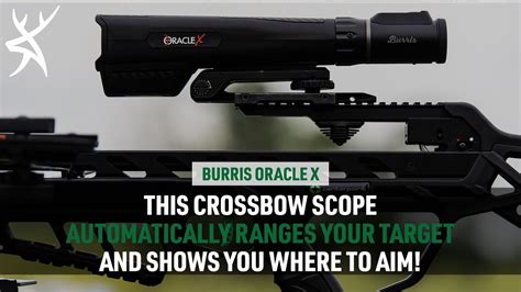 Review: Burris Oracle X Rangefinding Crossbow Scope - YouTube