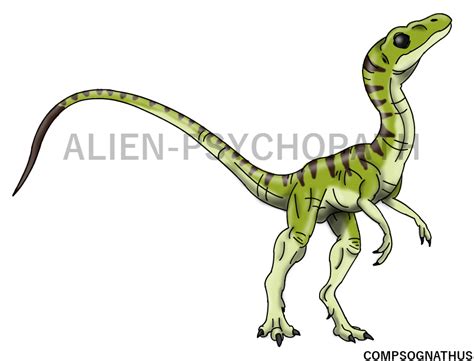 Jurassic Park: Compsognathus by Alien-Psychopath on DeviantArt