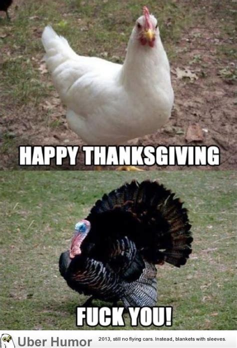Daily Afternoon Chaos (40 Pictures) | uberHumor.com | Funny thanksgiving memes, Funny ...