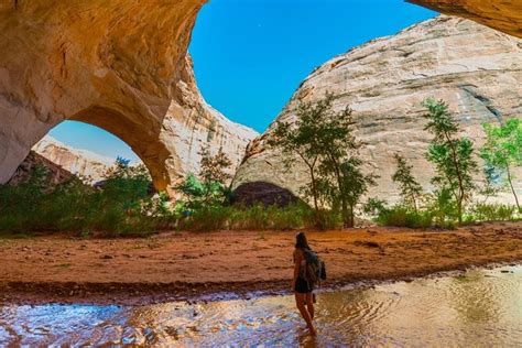 Tickets und Touren - Grand Staircase-Escalante National Monument, Utah ...