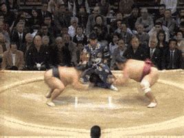 Sumo Wrestling GIF - Find & Share on GIPHY