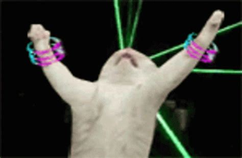 Rave Party GIFs | Tenor