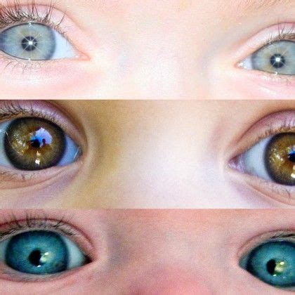 what color will my babys eyes be healthychildrenorg - how to choose ...