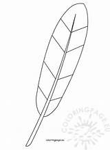 Printable Feather sketch template