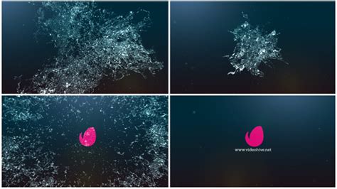 Splash Logo Reveal, After Effects Project Files | VideoHive