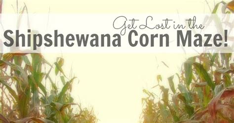 Get Lost in the Shipshewana Corn Maze! | All Roads Lead to the Kitchen