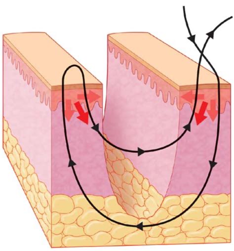 Mattress | Suture.app