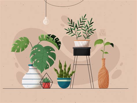 Plants for a Refreshing Home Decor