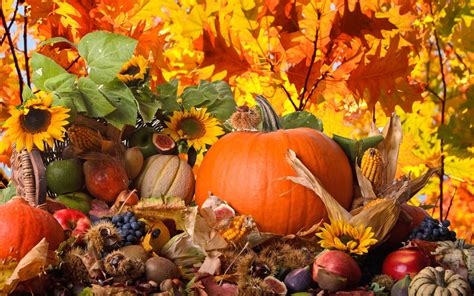 70+ Thanksgiving HD Wallpapers | Background Images