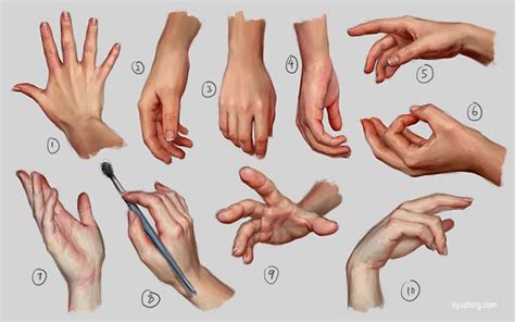 Pin by Fernanda Rosado on Estudo | Hand reference, Hand drawing reference, How to draw hands