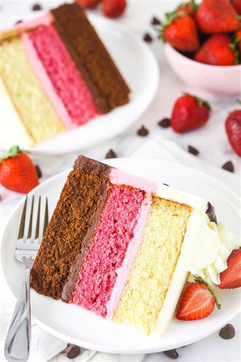 Easy Neapolitan Cake Recipe | Besto Blog