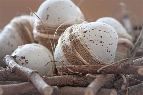 Free Images : decoration, food, egg, twig, deco, close up, coconut, nest, easter eggs, natural ...