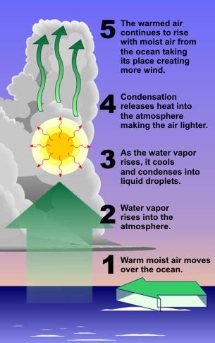 What are the three stages of a tropical cyclone? - paperwingrvice.web ...