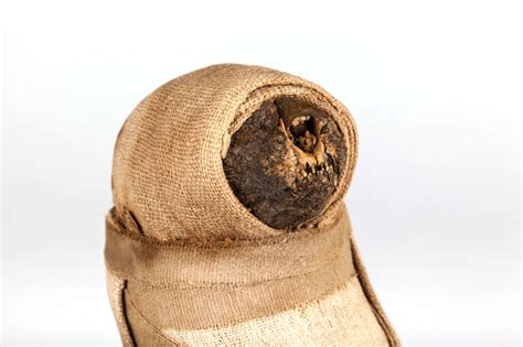 Egyptian mummified cat - 100 Objects That Made Kent