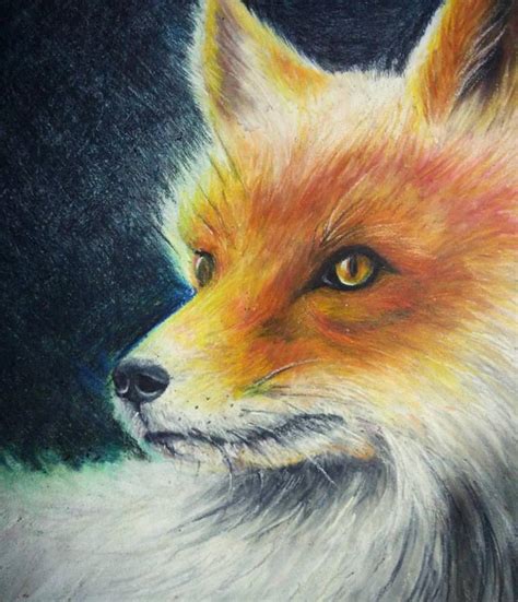 Fox Dog by dellidew on DeviantArt