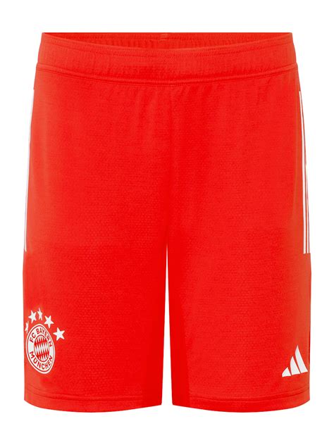 Herren Pro training shorts Teamline red | Official FC Bayern Munich Store