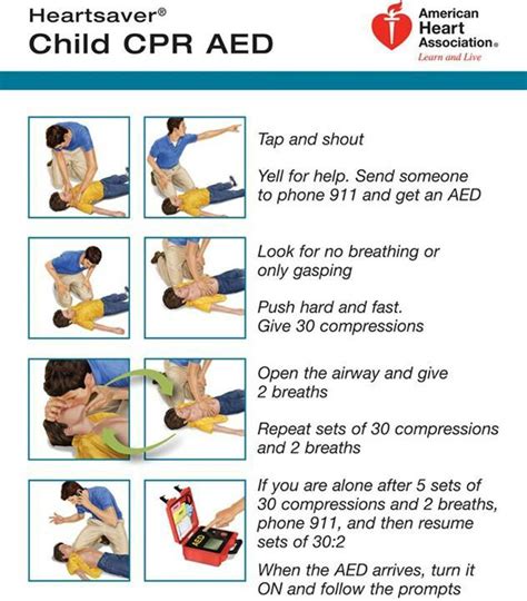 . Toddler Cpr, Infant Cpr, Adult Cpr, First Aid Cpr, Cpr Training, Respiratory Therapy, American ...