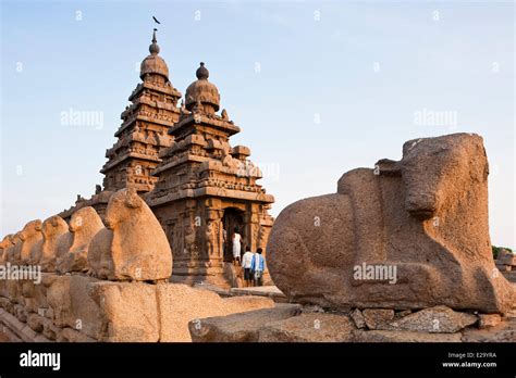 India, Tamil Nadu State, Mahabalipuram (or Mamallapuram), the Shore temple (7th century) listed ...