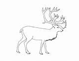 Coloring Pages For Children  Trembeling Art sketch template