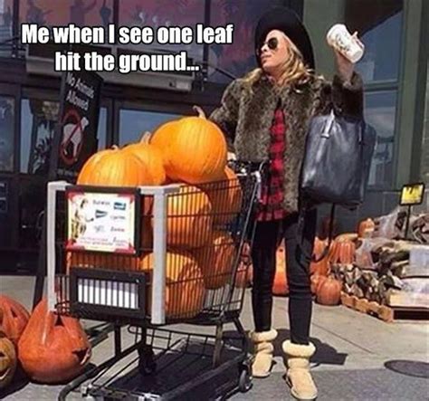 67 Fall & PSL Memes that Will Make You Laugh | Fall memes, Fall humor ...