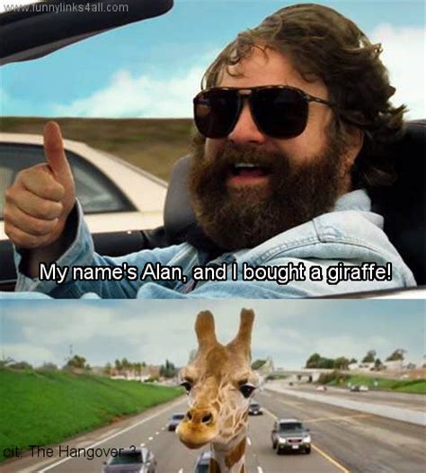 Alan Hangover Quotes. QuotesGram