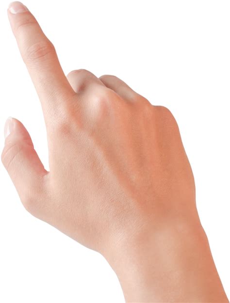 Download Pointing Hands Png - Mano Dedo Indice Png - HD Transparent PNG - NicePNG.com