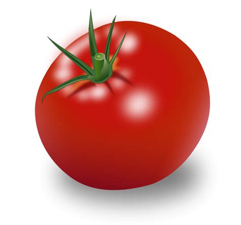 Tomato PNG